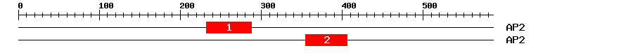 Signature Domain
