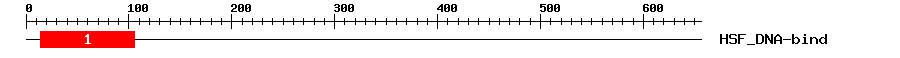 Signature Domain