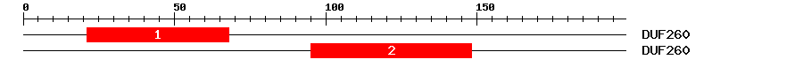 Signature Domain