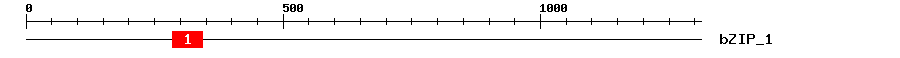 Signature Domain