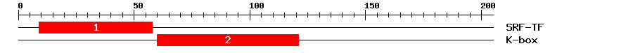 Signature Domain