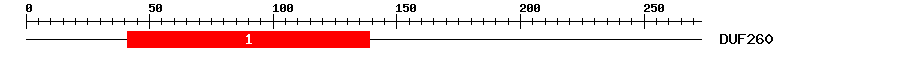 Signature Domain