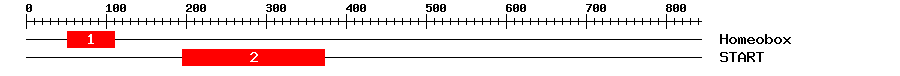 Signature Domain