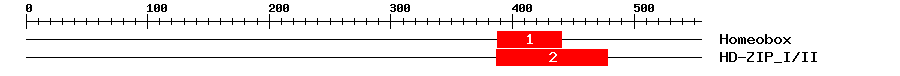 Signature Domain