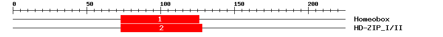Signature Domain