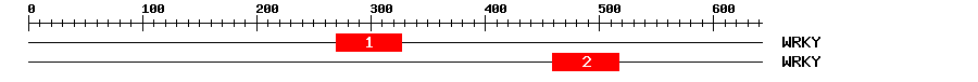 Signature Domain