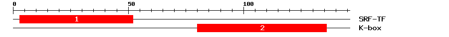 Signature Domain