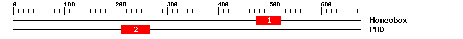 Signature Domain