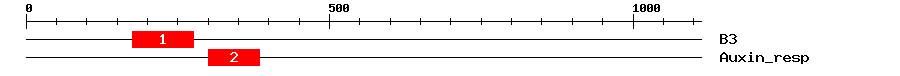 Signature Domain