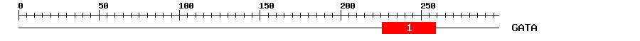 Signature Domain