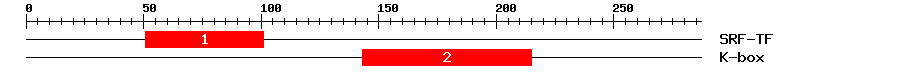 Signature Domain