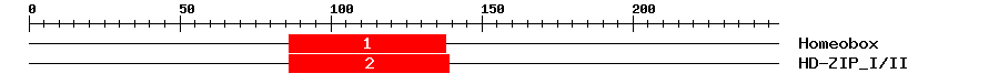 Signature Domain