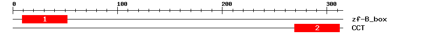 Signature Domain