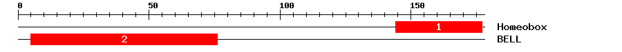 Signature Domain