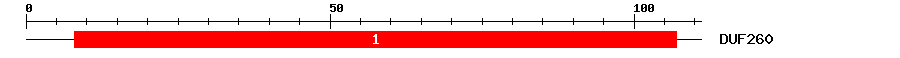 Signature Domain