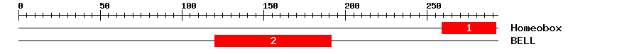 Signature Domain