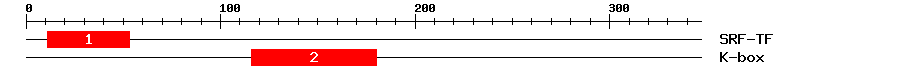 Signature Domain