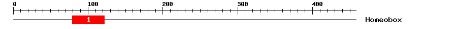 Signature Domain