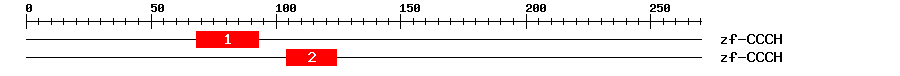Signature Domain