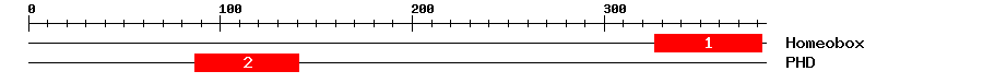 Signature Domain