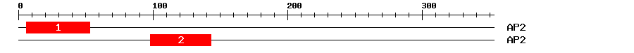 Signature Domain