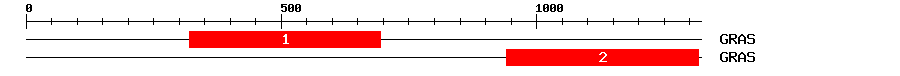 Signature Domain