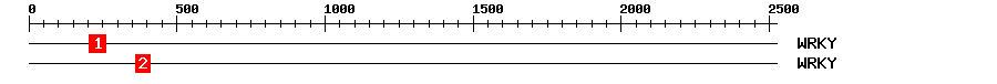 Signature Domain