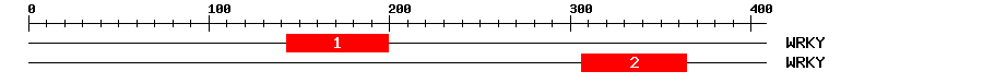 Signature Domain