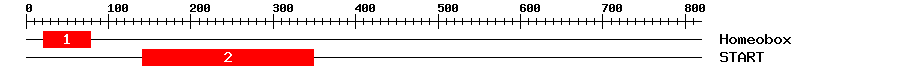Signature Domain