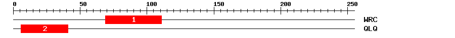 Signature Domain
