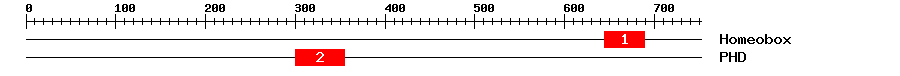 Signature Domain