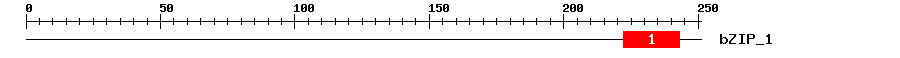 Signature Domain