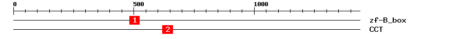 Signature Domain