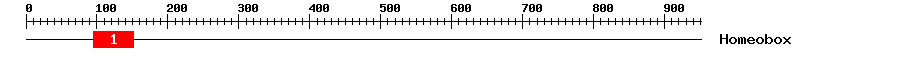 Signature Domain