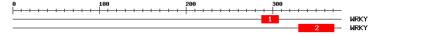 Signature Domain