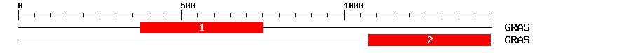 Signature Domain