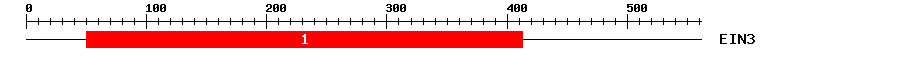 Signature Domain