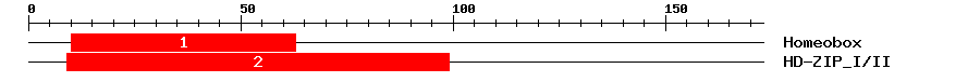 Signature Domain