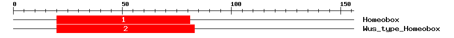 Signature Domain