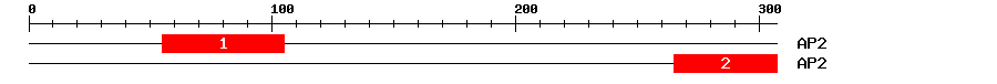 Signature Domain