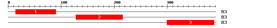 Signature Domain