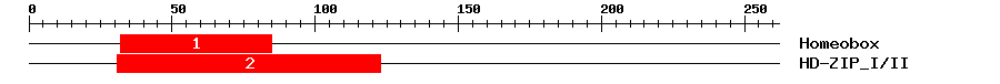 Signature Domain