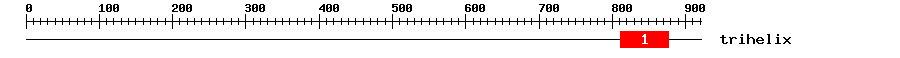 Signature Domain
