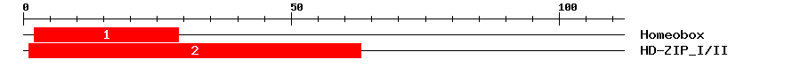 Signature Domain