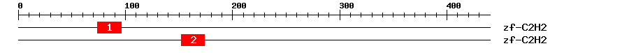 Signature Domain