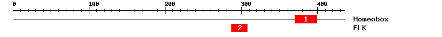 Signature Domain