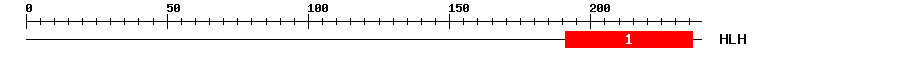 Signature Domain
