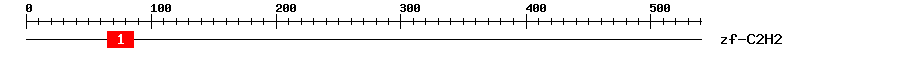 Signature Domain