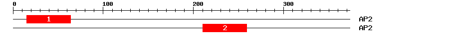 Signature Domain