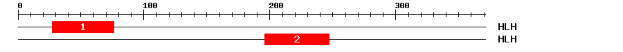 Signature Domain